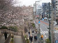 https://imgs.plurk.com/QGc/Pmv/eXNmCGWN3nJmqPQFU59LVn5JmDr_lg.jpg