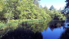 https://imgs.plurk.com/QGc/pSa/mTkfa75qixkpZM59xFDXqs0Cd8B_lg.jpg