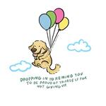 https://imgs.plurk.com/QGc/uiF/7kkVm4Wr3CQElIKuyYA6IxigoJd_lg.jpg