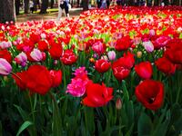 https://imgs.plurk.com/QGc/whU/nd62wm0mBWywBGYFQtx0AweJPCL_lg.jpg