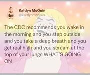 https://imgs.plurk.com/QGd/Oy5/bXaKJDw5ZCsni9VFnshKicyd3fq_lg.jpg