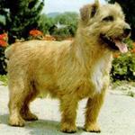 https://imgs.plurk.com/QGe/8Tp/S3M6xwNnmgOU20sCJFFGMSuS8Er_lg.jpg