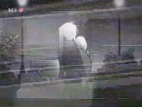 https://imgs.plurk.com/QGe/Chp/CdFhfli26D26gfye5XNqUjs6Mmm_lg.gif