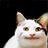 https://imgs.plurk.com/QGe/H4j/7VfyXhGcNrUbv5bFZcKEGEztIW0_lg.gif