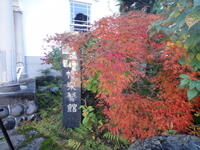 https://imgs.plurk.com/QGe/Pbo/Pg7qfEvenF5qAA2Ed8EgOlsF1ws_lg.jpg