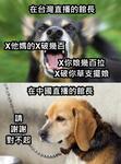 https://imgs.plurk.com/QGe/bAi/sViNalxzlQiFvq78D54m02bjFpY_lg.jpg