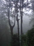 https://imgs.plurk.com/QGe/o51/XF7kdKHtlQiQoQOPZn5kjsAsZFj_lg.jpg