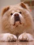 https://imgs.plurk.com/QGf/oex/USYlP5Bsv4Q7Q9Rf4uBQOC0oWIL_lg.jpg