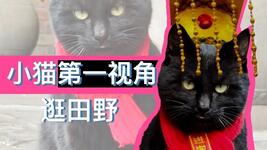 https://imgs.plurk.com/QGg/hDQ/DlYM5cYrcBTIUngDV1yINxTcVMh_lg.jpg