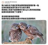 https://imgs.plurk.com/QGh/WnU/ncgJXbUL1ug1qV2wqZZpuYTz1kU_lg.png