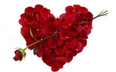 https://imgs.plurk.com/QuV/aEy/LBB1uqpocjpBufLF1JsQWpkHoQu_lg.jpeg