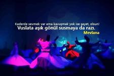 https://imgs.plurk.com/QuX/1rB/qO92vRlrzbGkVhylLBNrm16uywY_lg.jpeg
