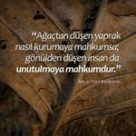https://imgs.plurk.com/QuX/dtT/v7jKq1FZnpKdqZzOMvCT8hAThR1_lg.jpeg