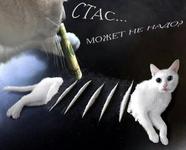 https://imgs.plurk.com/QuY/8qw/EdUoGeCmmyG0KjmM9iXOrKTZXHL_lg.jpeg
