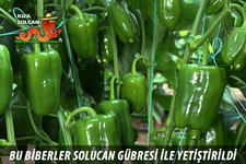 https://imgs.plurk.com/QuY/gMZ/LfTnagIHMiZWcasQZrqDjzVcaqb_lg.jpeg