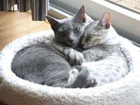 https://imgs.plurk.com/QuZ/6vW/wAyInk3FSn0gCQiwvycN5zST4rO_lg.jpeg