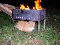 https://imgs.plurk.com/QuZ/7Dh/AWEia26mcmL0cN2pVuzrGzotkEl_lg.jpeg