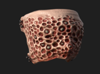 https://imgs.plurk.com/QuZ/J89/UnW8tBuDAqlMPJA0crLvcsBfN3B_lg.png