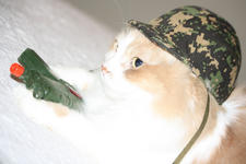https://imgs.plurk.com/QuZ/aKO/P2bsRfxuoW7YWSjCGGUBrQbHGm0_lg.jpeg