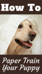 https://imgs.plurk.com/QuZ/axy/yG63JneJlGveDrebqwdy7X5PxDA_lg.png