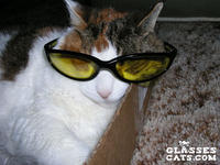 https://imgs.plurk.com/QuZ/bWl/bf3JeBKfQNBhhHJM8UFX0pSMuo4_lg.jpeg