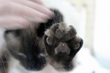 https://imgs.plurk.com/QuZ/jlJ/nqUHqFfOJMylb9SJN9drhCdJ0T6_lg.jpeg