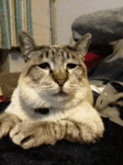 https://imgs.plurk.com/Qv0/JpH/8JWeYnGt9Ogwns6miYYaKvBb8E0_lg.gif