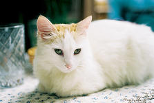 https://imgs.plurk.com/Qv1/Pg7/4gBoc9ipwg91tbGKAFasFpYLRlB_lg.jpeg