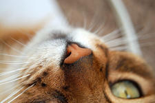 https://imgs.plurk.com/Qv1/SrB/ykMPo8AeBvnRsSb7fHclRVNMVo9_lg.jpeg