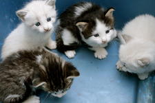 https://imgs.plurk.com/Qv1/d8I/puf2X4BGY2knV8SL89lLma85NUR_lg.jpeg
