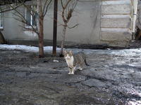 https://imgs.plurk.com/Qv1/j58/u9uszPrFRsJTCkZJuiaHfIbMJQ9_lg.jpeg