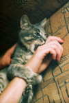 https://imgs.plurk.com/Qv1/otU/WRrrSjZf1ngBKzlzFsJAmfVPTrV_lg.png