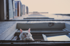 https://imgs.plurk.com/Qv1/w0R/htrNwdIapN8E4LTCyzsUk1XMZRz_lg.png