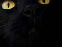 https://imgs.plurk.com/Qv2/3Fy/X46rbc7PeCqwYm1HuMAikxOzB2w_lg.jpg