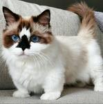 https://imgs.plurk.com/Qv2/FEC/kGQzI8yEcQvmKGBqbaPMMbY7SKT_lg.jpeg