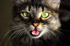 https://imgs.plurk.com/Qv2/NxD/lQhKotCghXmCRm2YSvvEdxv82Te_lg.jpeg