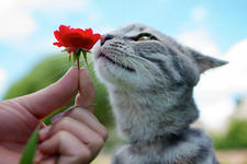 https://imgs.plurk.com/Qv2/OXS/ssY7ttKoNCZphiK2q5JyilDgU3r_lg.jpeg