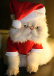 https://imgs.plurk.com/Qv2/YBc/DUysDuOuos6cmtrYnKK0oEyxXd2_lg.jpeg