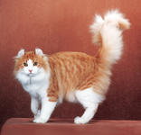 https://imgs.plurk.com/Qv2/cPm/Wn3pDC8eB2uXPteS9ygrLtHq32N_lg.jpeg