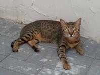 https://imgs.plurk.com/Qv2/gvw/hHfViaBmGlfKmmJLp1LA7RIeJkA_lg.jpeg