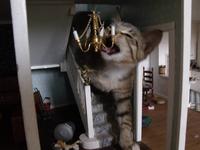 https://imgs.plurk.com/Qv2/iSJ/uB9GxXoOlDzRaKKEktd4fd4Xin0_lg.jpeg