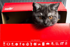 https://imgs.plurk.com/Qv2/oeG/DiBvKbXde2Aw0TVGhpzIfsN7dMY_lg.jpeg