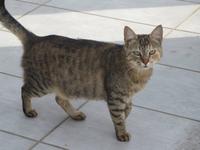 https://imgs.plurk.com/Qv2/y2i/moecQaoODzo9QUMJ4fwaHVRgTYH_lg.jpeg