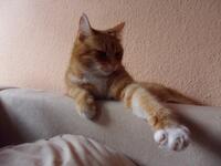 https://imgs.plurk.com/Qv2/zJ9/Inbt2QGZx2Yl7B6V6BkLuW7WG3H_lg.jpg