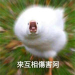 https://imgs.plurk.com/QwA/LZs/dguw59q4yV3rJTDX45ZeojjfUPB_lg.jpg