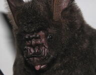 https://imgs.plurk.com/QwB/4B2/myzJGvOROF5kH6UoJTUOfGmzCAV_lg.jpg