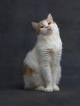 https://imgs.plurk.com/QwC/FTZ/kU97TIM2kXGCLHPvUepDAHzbANq_lg.jpg
