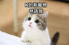 https://imgs.plurk.com/QwC/QAv/PT98gpjNDhAKQFmQ1WkRsUWET6b_lg.jpg