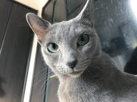 https://imgs.plurk.com/Qwt/5mZ/o73EgfMJQ0q3wbppLXatGDeJpbh_lg.jpg