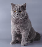 https://imgs.plurk.com/Qwt/XWz/QKp4JnuJpaoiYjmX29te0FtNArZ_lg.jpg